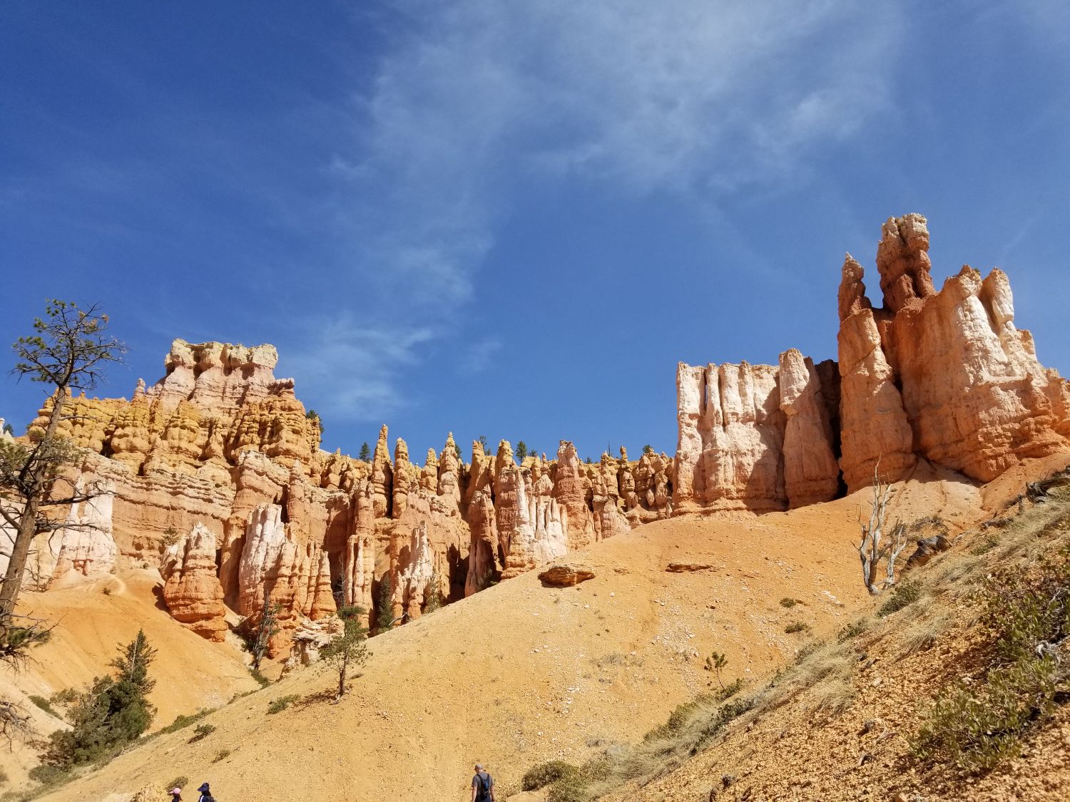 Queens/Navajo 